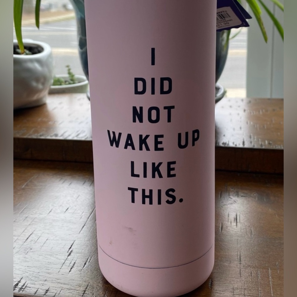 •NWT•World Market Yes Studio Insulated Stainless Steel Water Bottle - Picture 5 of 12